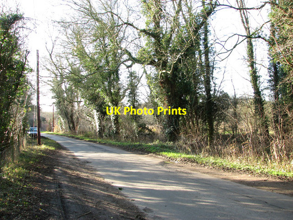 Photo 6"x4" Norwich Road past Flordon Common Flordon c2015