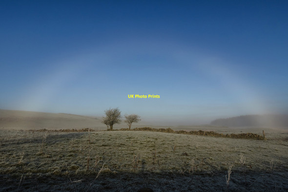 Photo 6"x4" Fogbow near Barnearnie Kirkcowan c2014