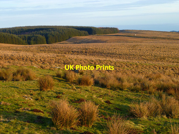 Photo 6"x4" Rough pasture, Melkridge Pont Gallon Burn c2011
