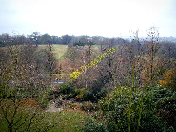 Photo 6"x4" Greenwich Park Greenwich\/TQ3977 c2008 P1