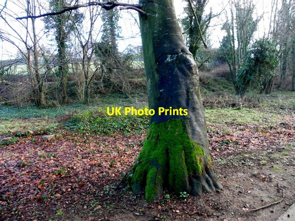 Photo 6"x4" The north side, Cranny Omagh c2015