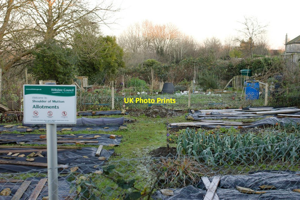 Photo 6"x4" Shoulder of Mutton Allotments, Bradford-on-Avon Bradford-On-Avon c2014