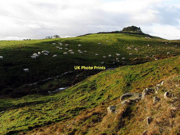 Photo 6"x4" Housesteads Roman Fort across Knag Burn Thorngrafton c2015