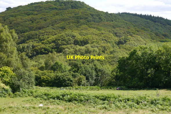 Photo 6"x4" View towards Coed-y-garth from the lower camping fields at Graig Wen Arthog c2014
