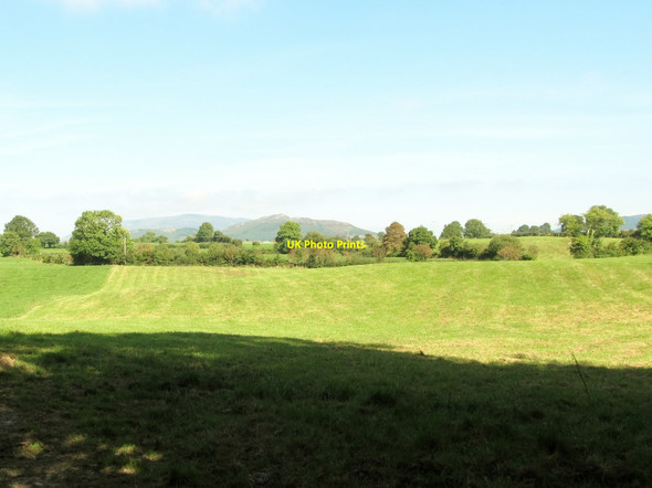 Photo 6"x4" View across farmland in the direction of Forkhill Hackballs Cross c2014