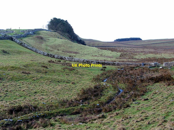 Photo 6"x4" Knag Burn south of Hadrian's Wall Thorngrafton c2015