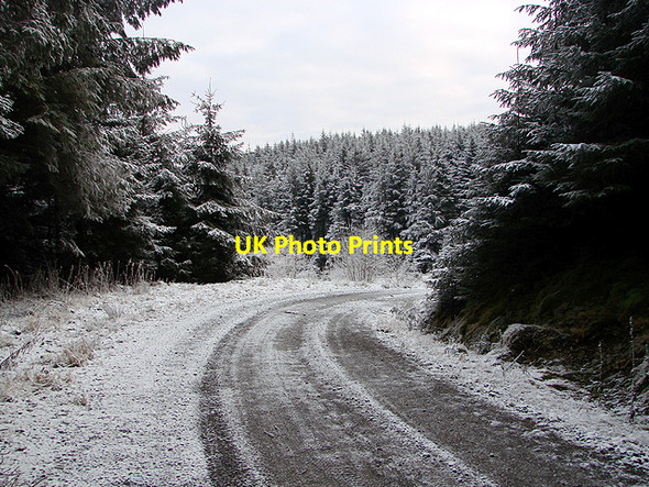 Photo 6"x4" Forestry road, Esgair Ychion Llanifyny c2011 P1