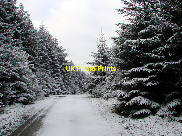 Photo 6"x4" Forestry road, Esgair Ychion Llanifyny c2011 P1