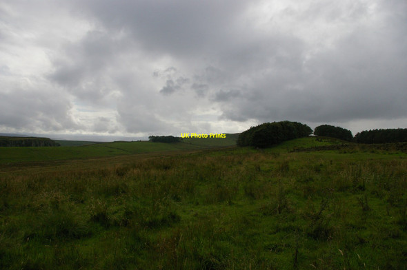Photo 6"x4" Looking west from Peatrigg Birkshaw\/NY7765 c2012