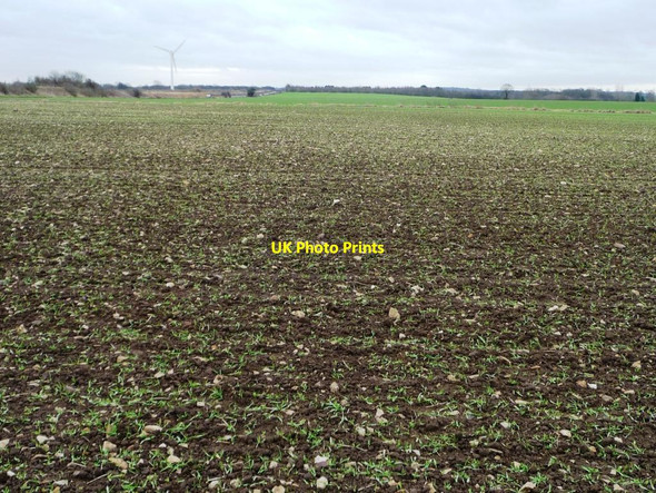 Photo 6"x4" Public footpath crossing farmland west of Leys Lane Knottingley c2015