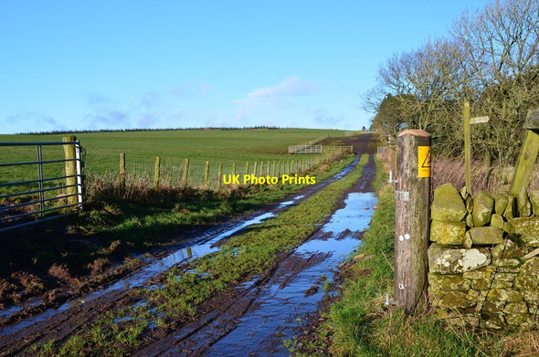 Photo 6"x4" Track on Woodheads Hill Newhouses\/NT5144 c2015