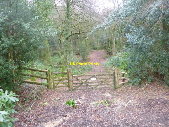 Photo 6"x4" Newtown, gates Newtown\/SU2710 c2015