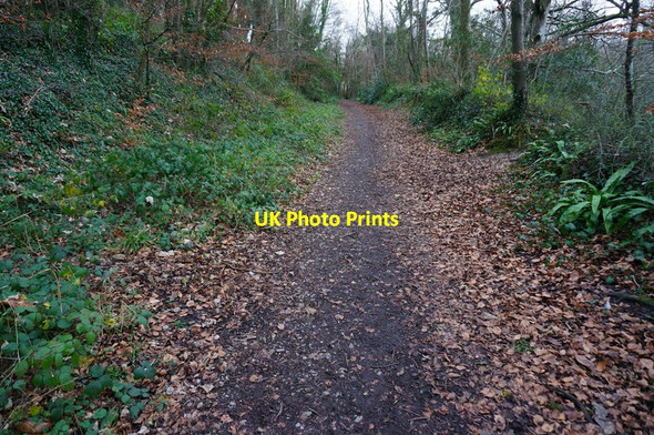 Photo 6"x4" Course of the old Plymouth to Yealmpton Railway Yealmpton c2015