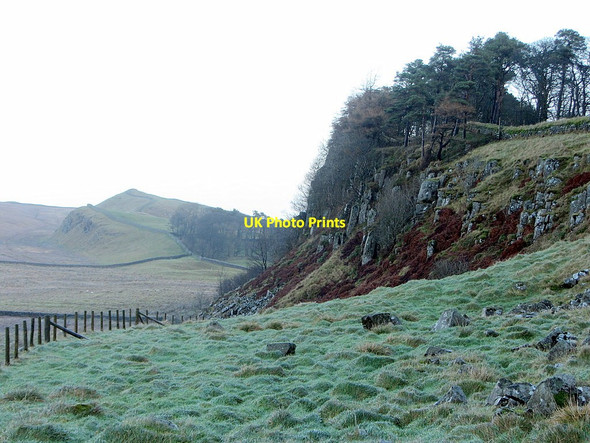 Photo 6"x4" North side of Housesteads Crags Thorngrafton c2015