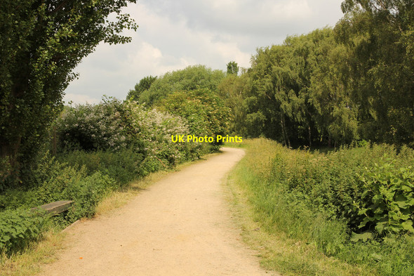 Photo 6"x4" NCN route 6 Nottingham\/SK5641 c2014