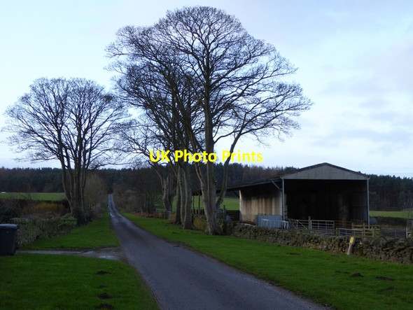 Photo 6"x4" Barn at Gallaw Hill Farm Broomley\/NZ0360 c2015
