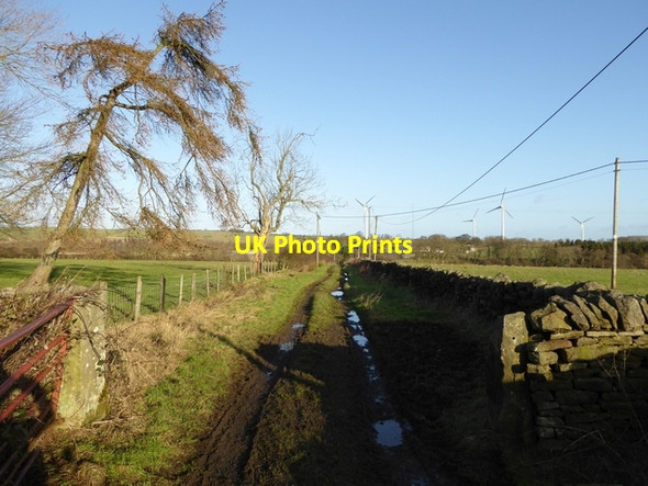 Photo 6"x4" Byway to Airy Holm Farm Carterway Heads c2015