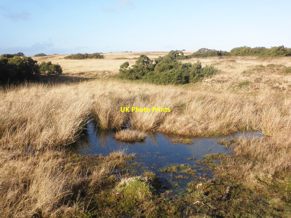 Photo 6"x4" Small pond, above Thornworthy East Ilkerton c2015