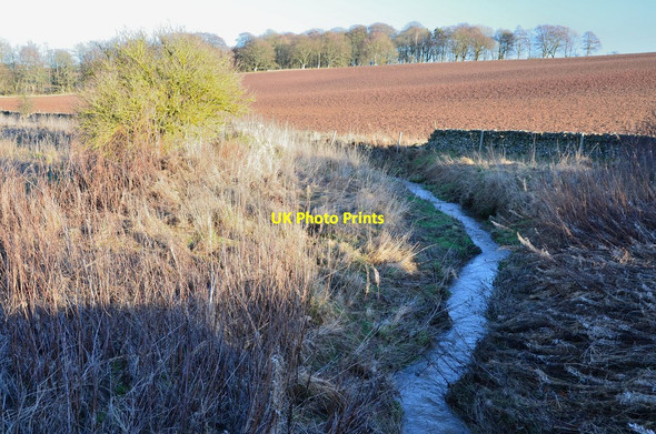 Photo 6"x4" Milsie Burn from the bridge Lauder c2015