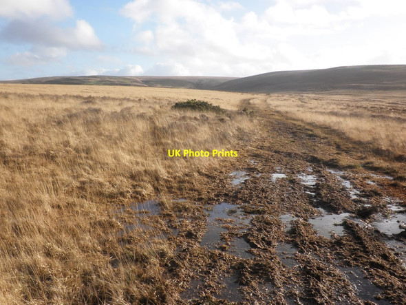 Photo 6"x4" Track towards 'The Chains' East Ilkerton c2015