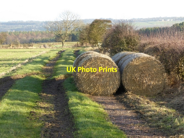 Photo 6"x4" Straw bales and farm track at Shotleyfield Shotleyfield c2015