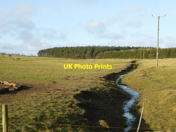 Photo 6"x4" Yecklish Burn Shotleyfield c2015