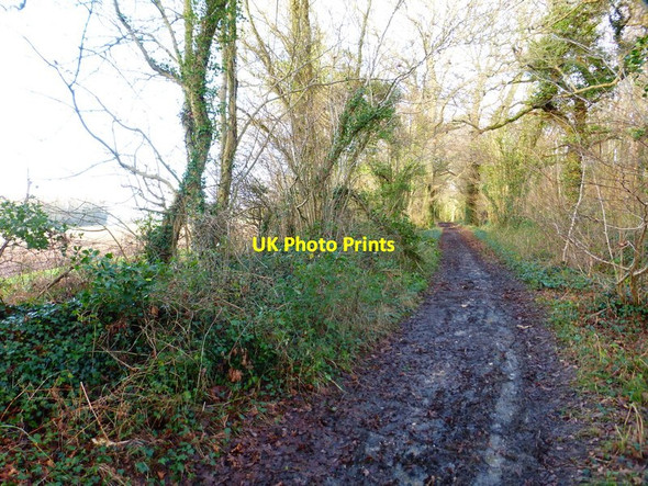 Photo 6"x4" Track towards Broom Farm (2) Hoe Gate c2015