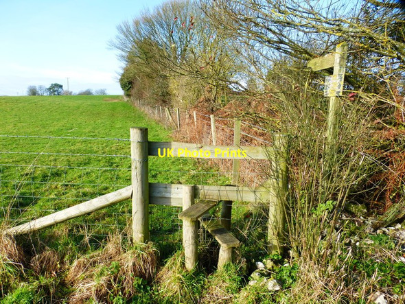Photo 6"x4" Footpath goes west from Hole Farm Hambledon\/SU6414 c2015