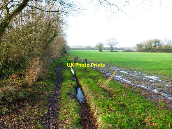Photo 6"x4" Byway along field edge Soberton Heath c2015