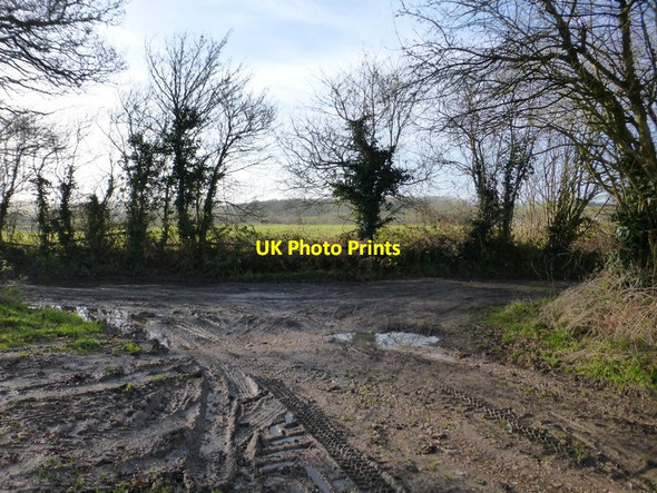 Photo 6"x4" Byway junction with track Soberton Heath c2015