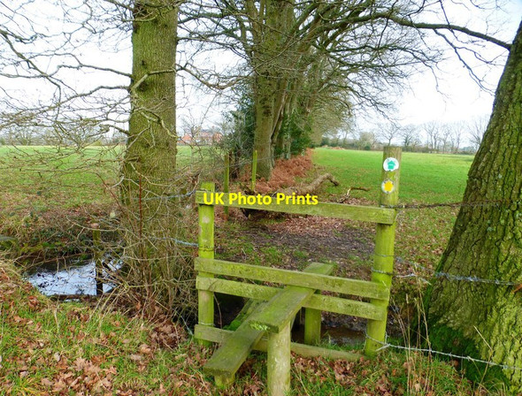 Photo 6"x4" Looking into field from stile Newtown\/SU6112 c2015