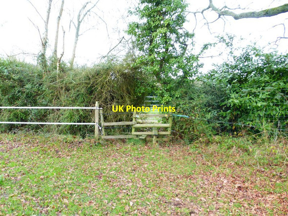 Photo 6"x4" Footpath crosses stile to driveway Newtown\/SU6112 c2015