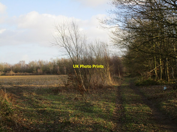 Photo 6"x4" Footpath to Blaxton Blaxton\/SE6700 c2015