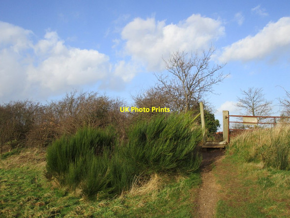 Photo 6"x4" Footpath to Finningley Blaxton\/SE6700 c2015