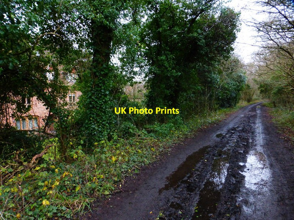 Photo 6"x4" Bridleway passes large building on left Soberton Heath c2015
