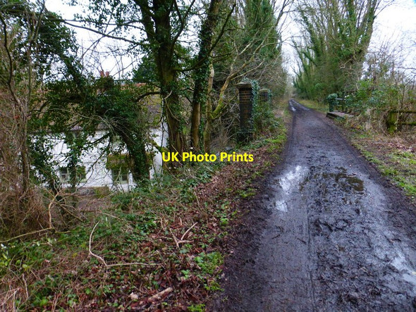 Photo 6"x4" Meon Valley Trail going south over bridge Soberton c2015