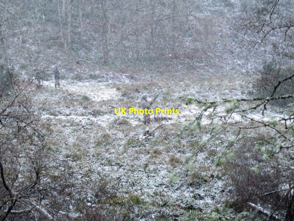 Photo 6"x4" Let it snow, let it snow, let it snow!.......... Woodside\/NJ0555 c2015