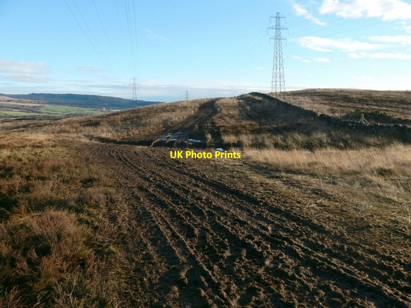 Photo 6"x4" Tracks on Carman Muir Alexandria c2014