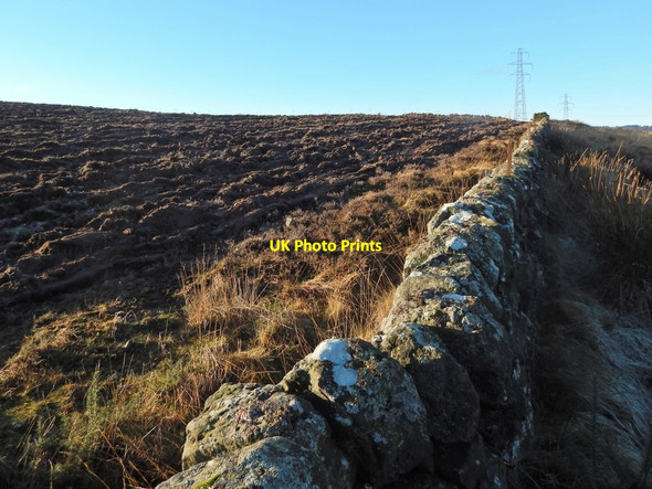 Photo 6"x4" Ploughed field Alexandria c2014
