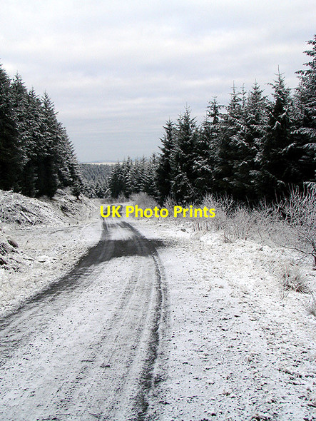 Photo 6"x4" Forestry road, Esgair Ychion Llanifyny c2011