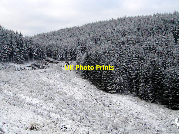 Photo 6"x4" Forestry road. Esgair Ychion Llanifyny c2011