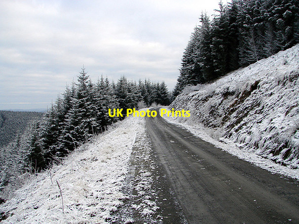 Photo 6"x4" Forestry road, Esgair Ychion Llanifyny c2011