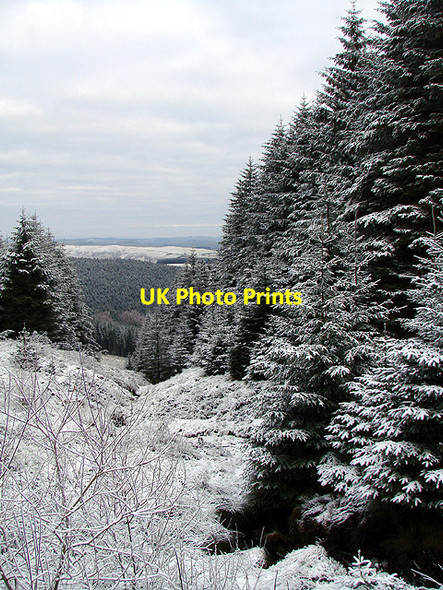 Photo 6"x4" Cwm Nant Esgair Wen, Esgair Ychion Llanifyny c2011 P1