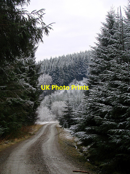 Photo 6"x4" Above Abertrinant, Esgair Ychion Llanifyny c2011