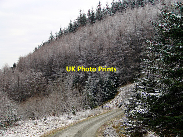 Photo 6"x4" Forestry road, Esgair Ychion Llanifyny c2011