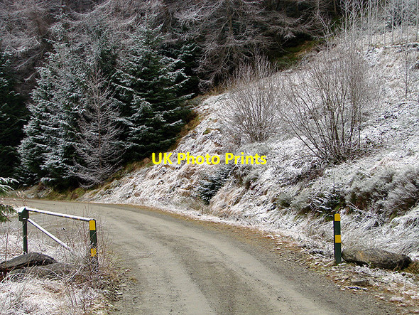 Photo 6"x4" Open gate, forestry road, Esgair Ychion Llanifyny c2011