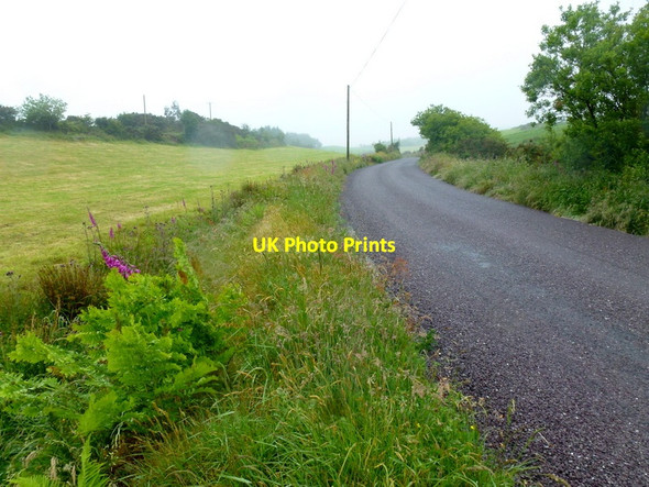 Photo 6"x4" Country lane Drimoleague c2013