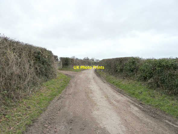 Photo 6"x4" Farm track near Ty'n-y-caeau Llanasa Llanasa c2015