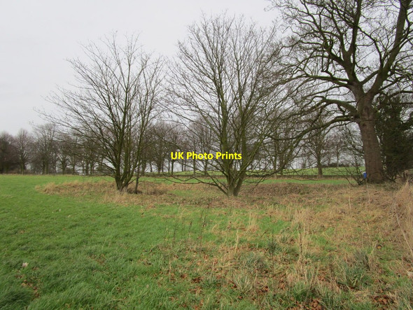 Photo 6"x4" Pit near Boreas Hall Thorngumbald c2015