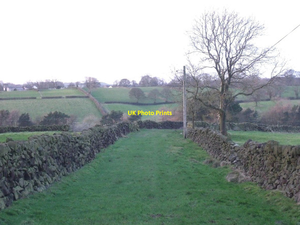 Photo 6"x4" Former trackway to Shirley Foxt c2015